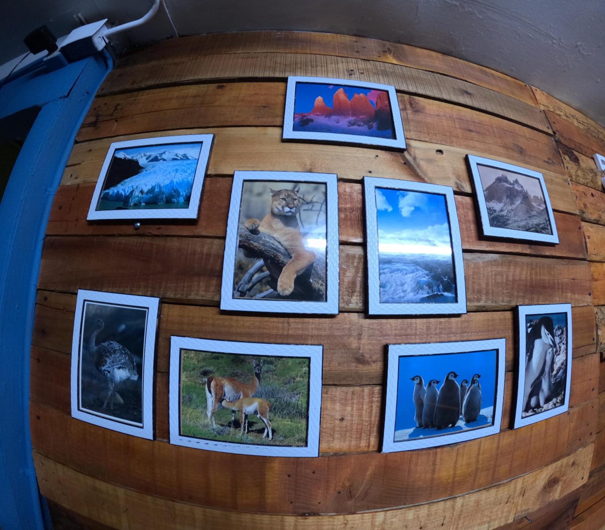 Hostel 53 Sur Puerto Natales Eksteriør bilde